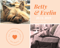 Evelin Club - přidej se - Bettynka